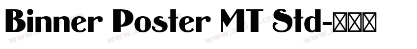 Binner Poster MT Std字体转换